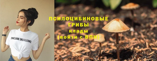 хмурый Магадан