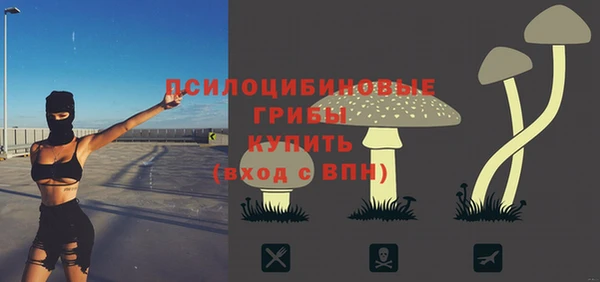 марки lsd Медногорск