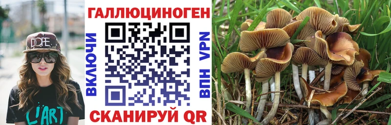 ОМГ ОМГ онион Новокубанск сайты даркнета клад купить наркотики цена Галлюциногенные грибы мухоморы